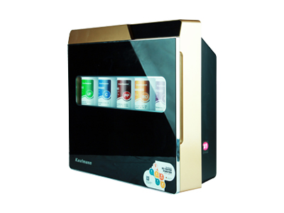 (单双水路)壁挂式直饮机